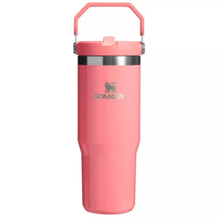 Stanley 30 oz Stainless Steel IceFlow Flip Straw Tumbler